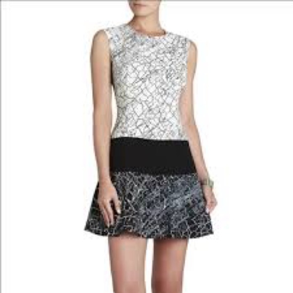 BCBG MAX AZRIA Lillian Crackle Dress Black & White Drop Waist Tank Dress